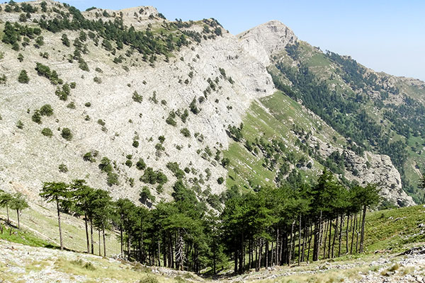 Панпрама по път за Ипсарио, Тасос