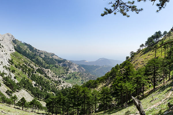 Панпрама по път за Ипсарио, Тасос