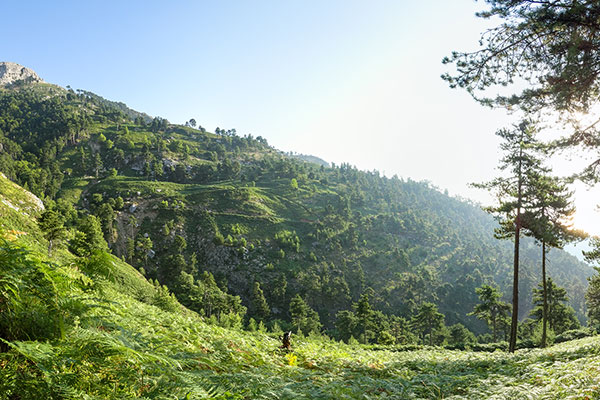 Панпрама по път за Ипсарио, Тасос