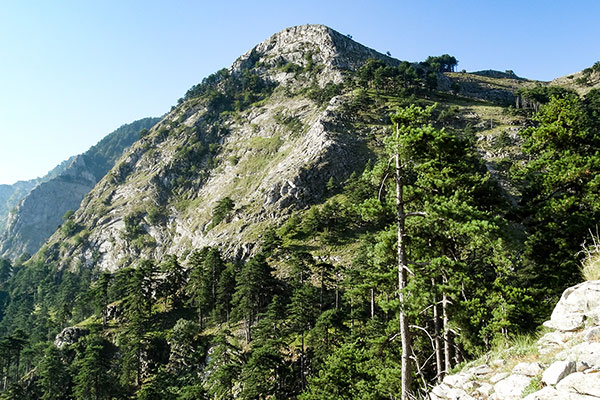 Ипсарио, Тасос