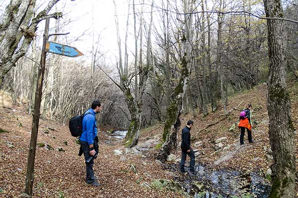 С групата близо до Моровица