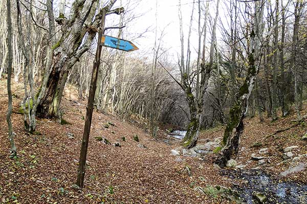 По път за пещерата Моровица