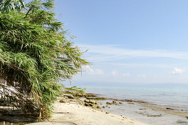 Lime beach, Афитос, Касандра, Халкидики, Гърция