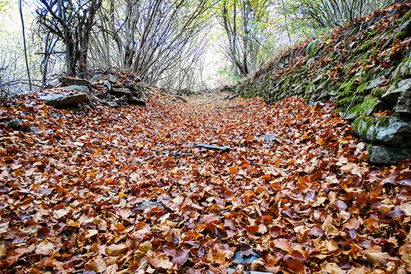 По пътеката за параклис Свети Георги, Ковачевица