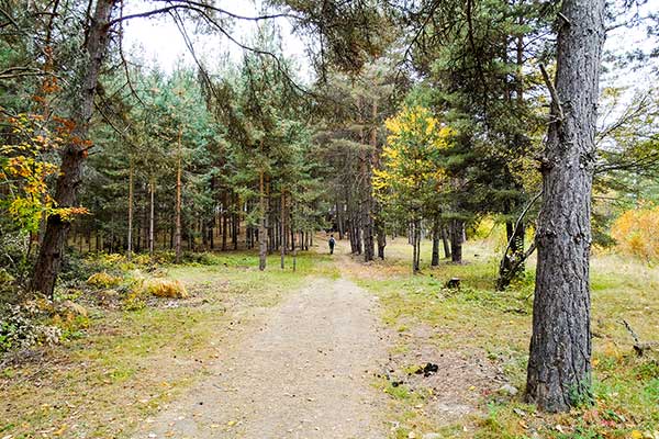 По пътеката за параклис Свети Георги, Ковачевица