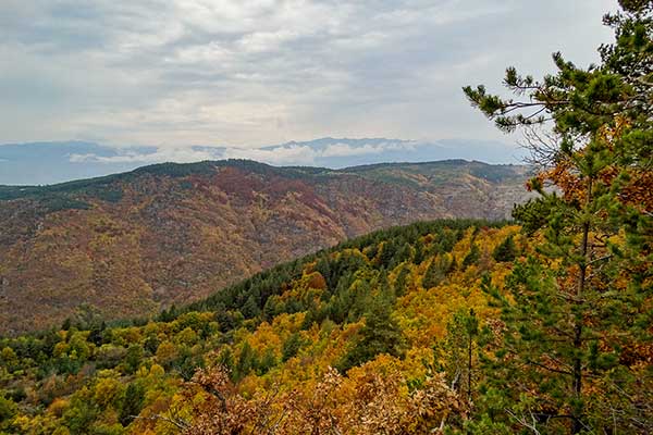 Панорамата след параклиса, Ковачевица