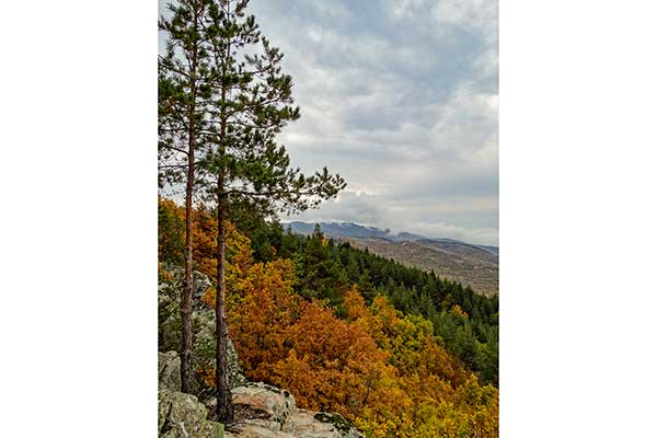 Панорамата след параклиса, Ковачевица