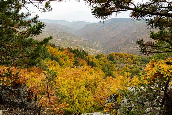 Панорамата след параклиса, Ковачевица