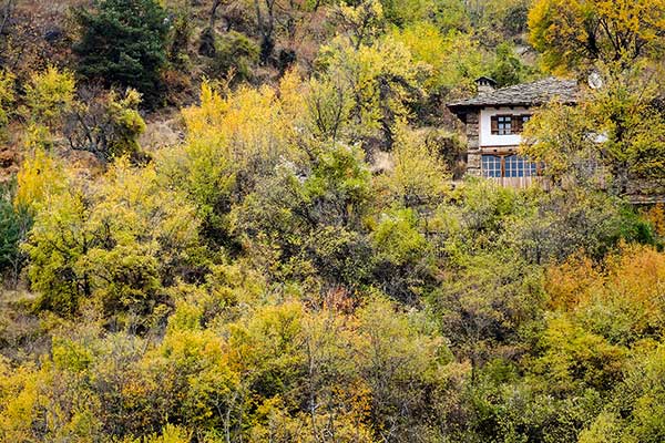 Село Ковачевица, Западни Родопи