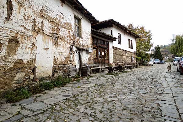 Село Ковачевица, Западни Родопи