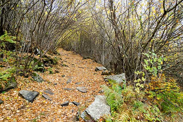 По пътеката за параклис Свети Георги, Ковачевица