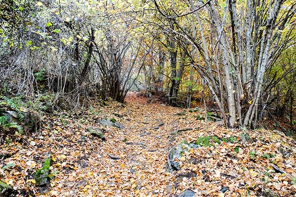 По пътеката за параклис Свети Георги, Ковачевица