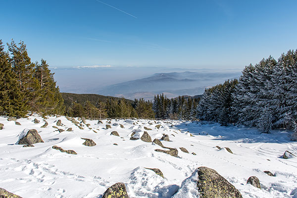 Морени над Алеко