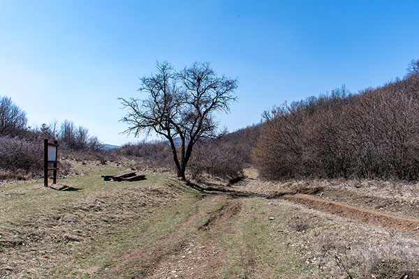 Извор Живата вода - по пътеката към извора