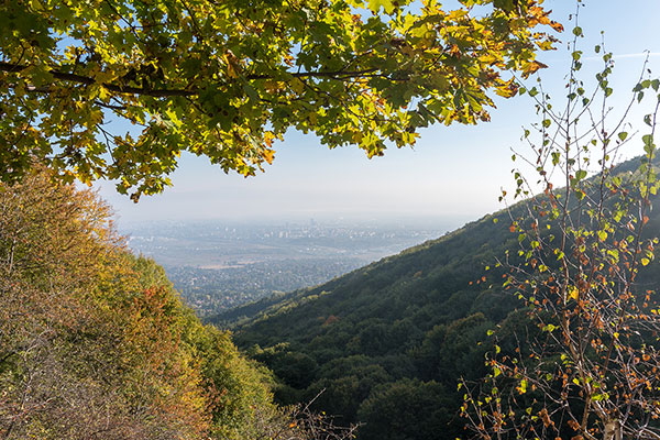 Панорама към София
