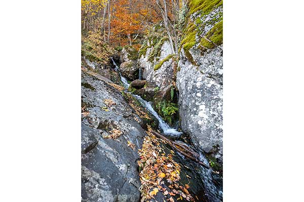 Боянски водопад - горна част
