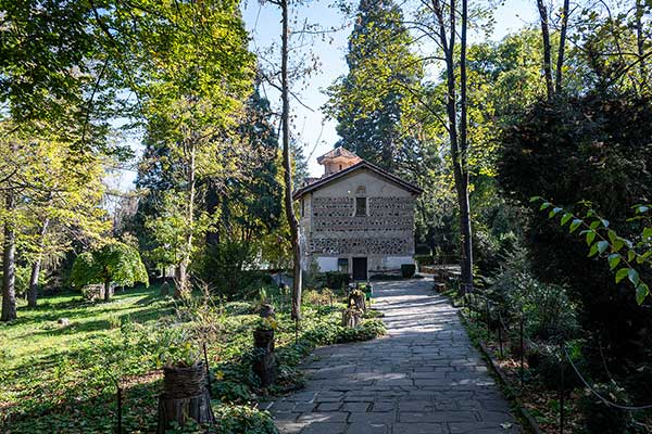 В двора на Боянската църква