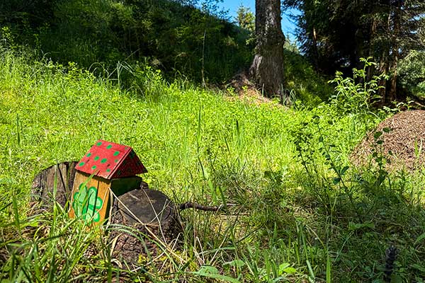Екопътека Зорница, село Маджаре