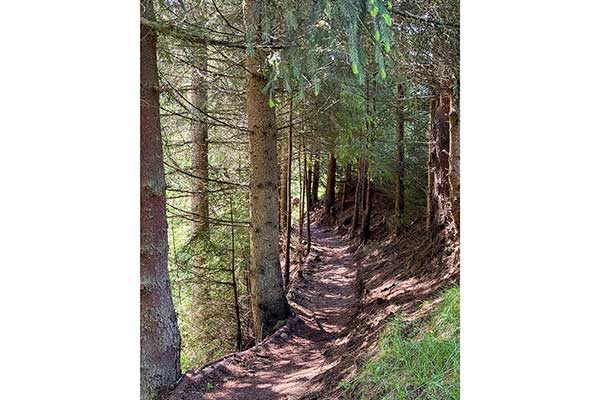 Екопътека Зорница, село Маджаре