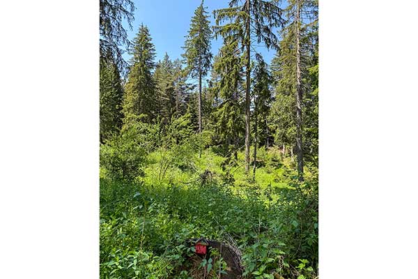 Екопътека Зорница, село Маджаре