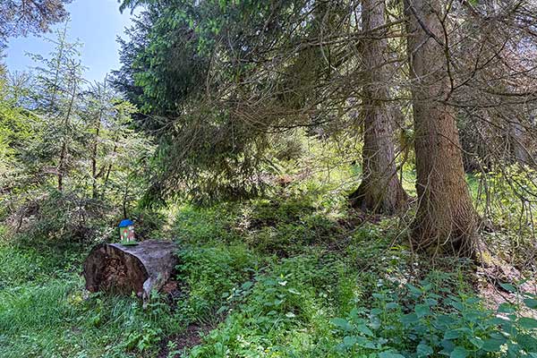 Екопътека Зорница, село Маджаре