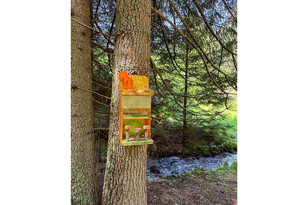 Екопътека Зорница, село Маджаре