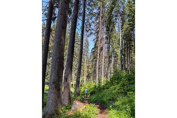 Екопътека Зорница, село Маджаре