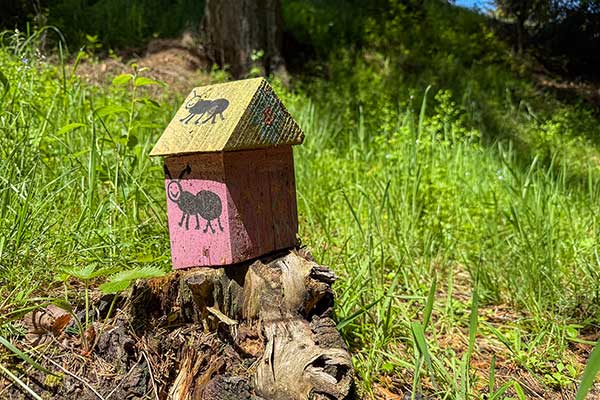 Екопътека Зорница, село Маджаре